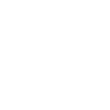 Globe Icon