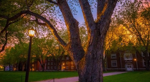 Historic brick campus buildings surrounded by large trees at sunset, with illuminated pathways and lampposts casting a warm glow across the lawn.