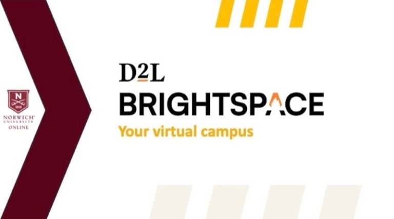 D2L video